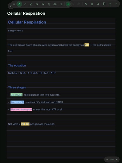 Neon theme